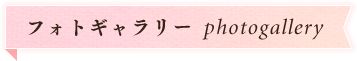 フォトギャラリー